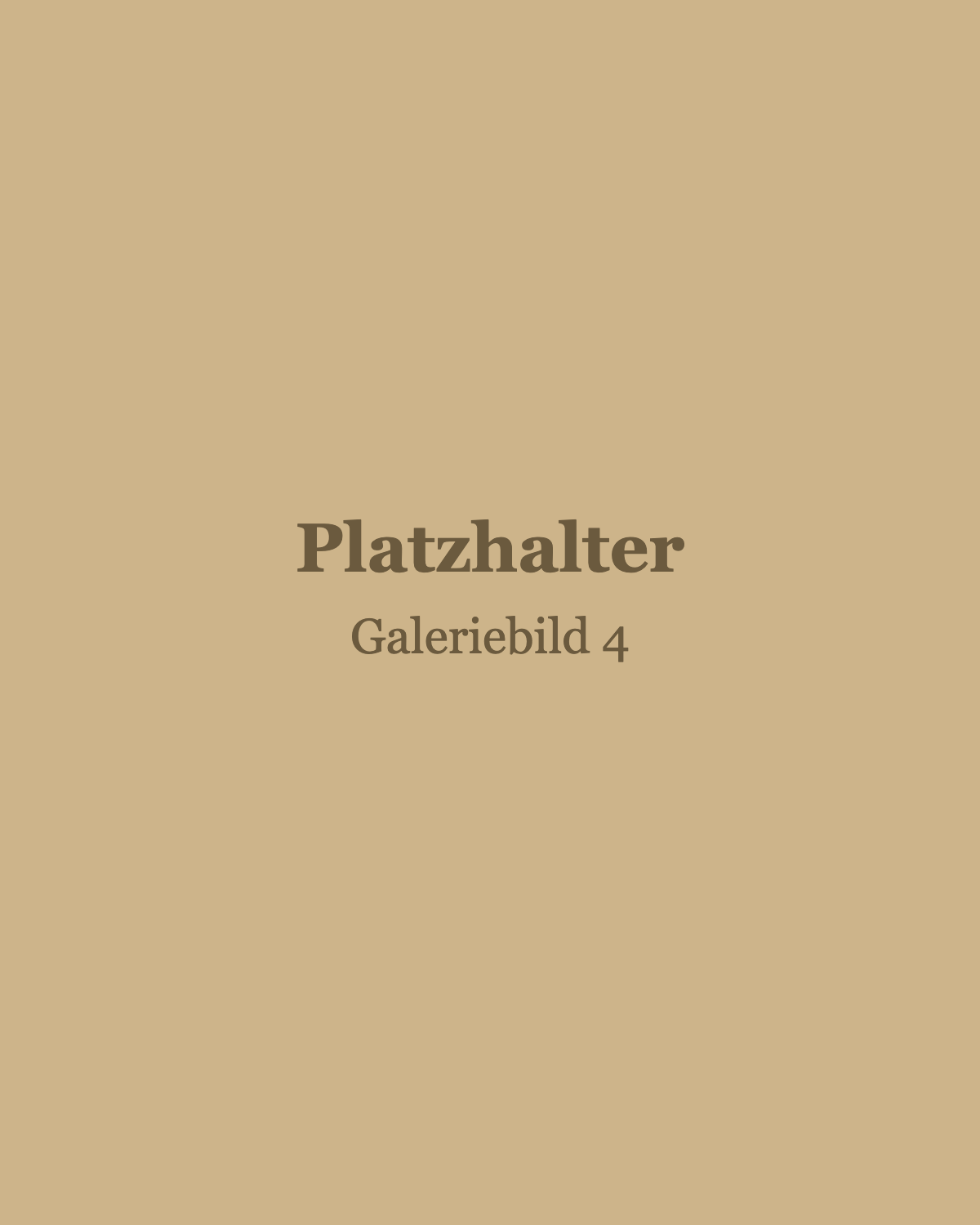 Platzhalter Galeriebild 4