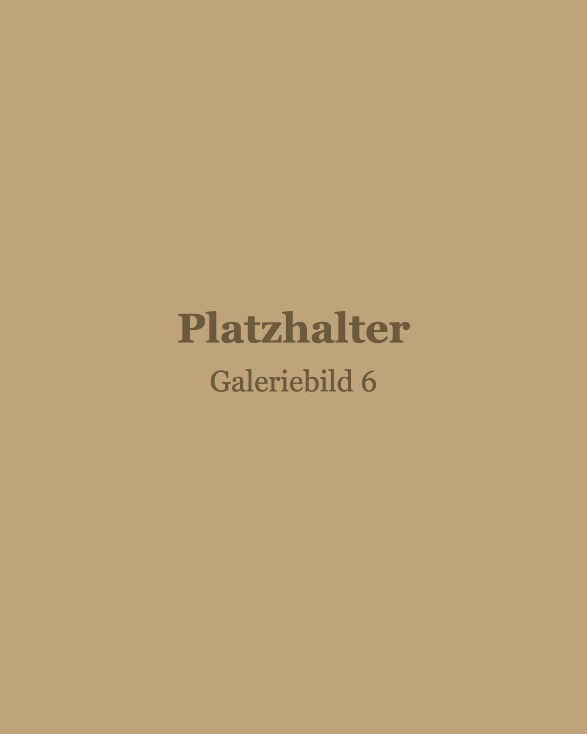 Platzhalter Galeriebild 6